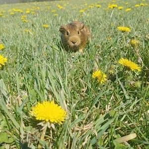 Meet your Posher, Mackenzie